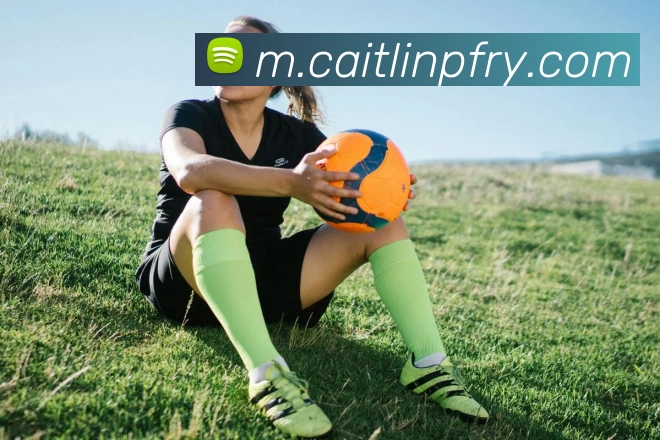 米兰体育在线登录网址服务体系
